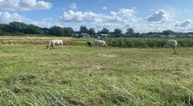 Holiday home in Nordborg