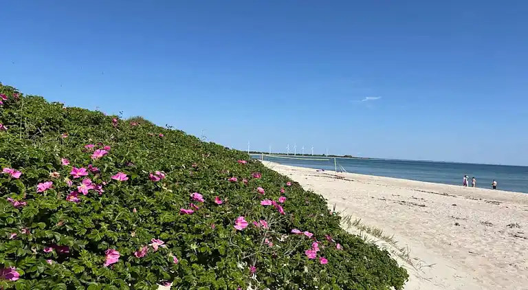 Holiday home in Skovmose