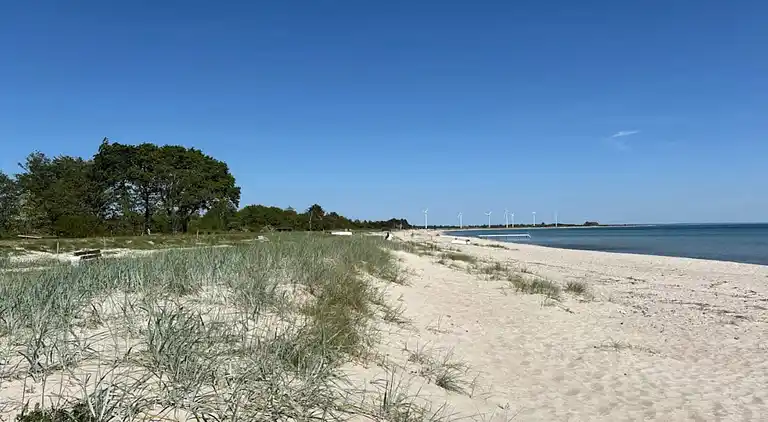 Sommerhus i Skovmose