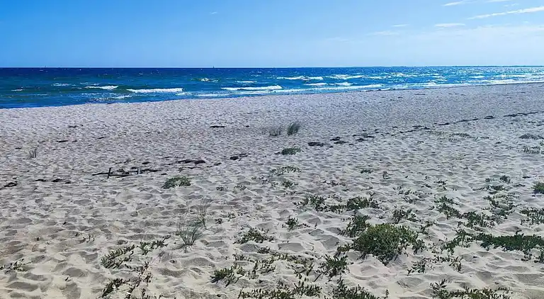 Sommerhus i Skovmose