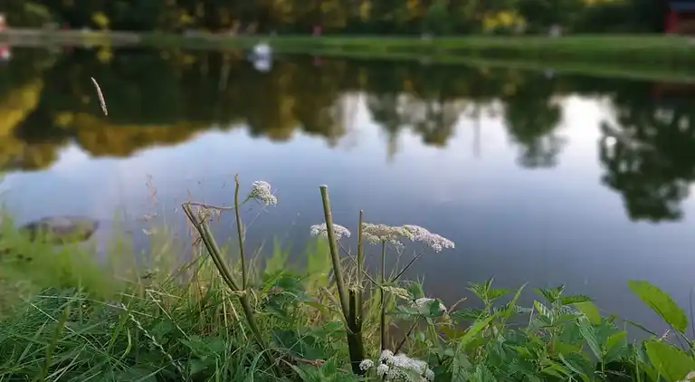 Feriebolig i Lunderskov