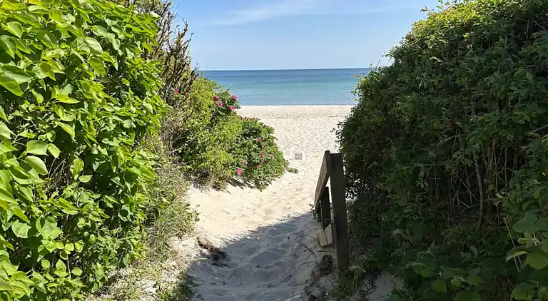 Sommerhus i Skovmose