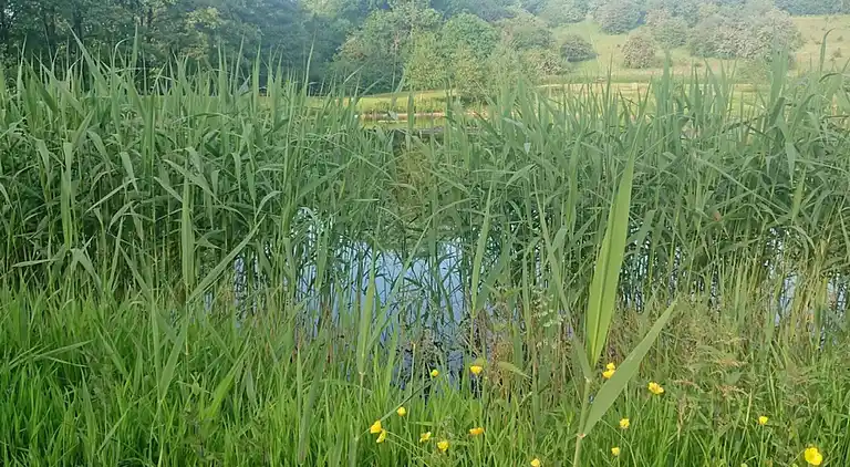 Feriebolig i Lunderskov