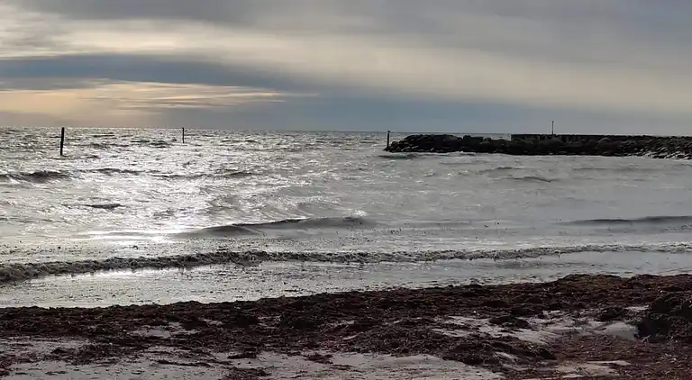 Holiday home in Dannemare