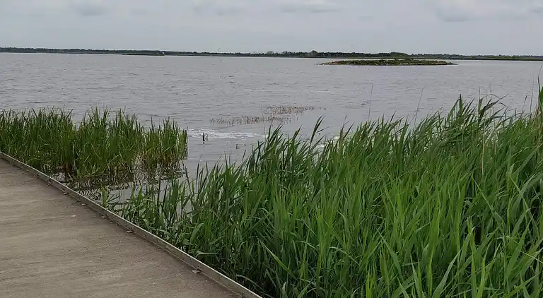 Holiday home in Varde