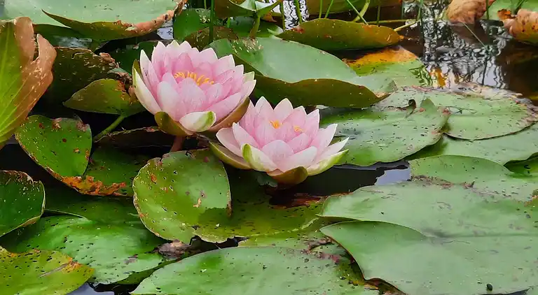 Holiday home in Varde