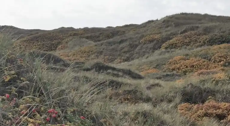 Holiday home in Varde