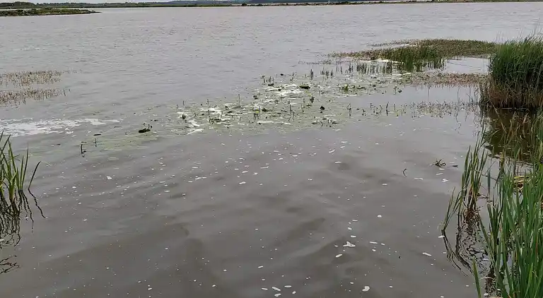 Holiday home in Varde