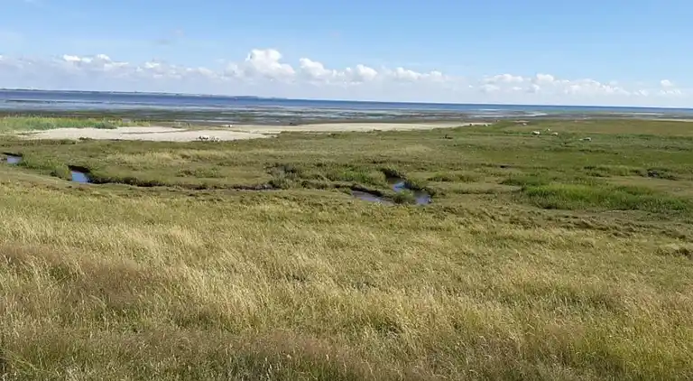 Semesterbostad i Kongsmark