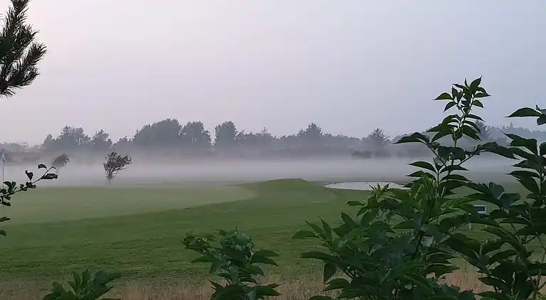 Feriebolig i Blåvand