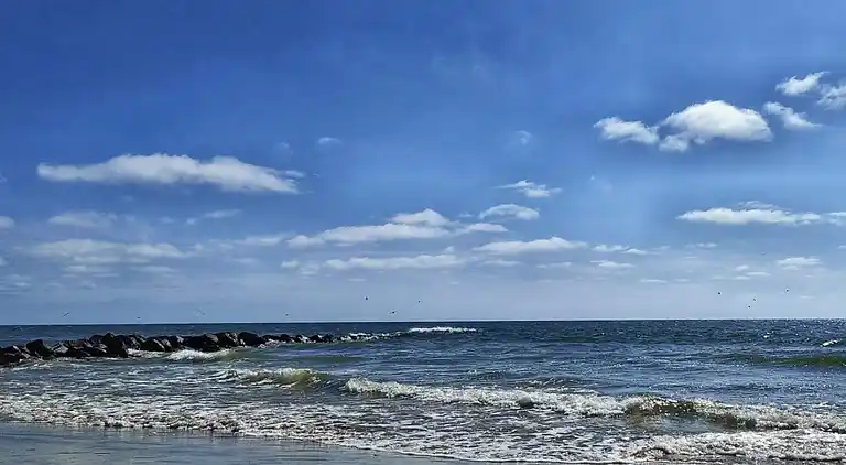 Feriebolig i Blåvand