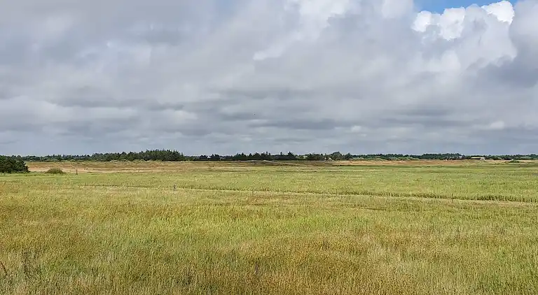 Feriebolig i Blåvand
