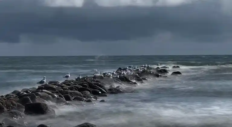 Feriebolig i Blåvand