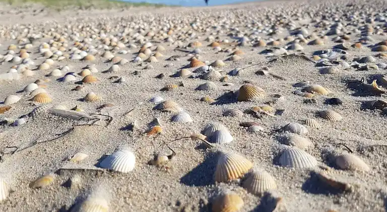 Semesterbostad i Kongsmark
