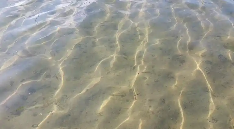 Feriebolig i Væggerløse