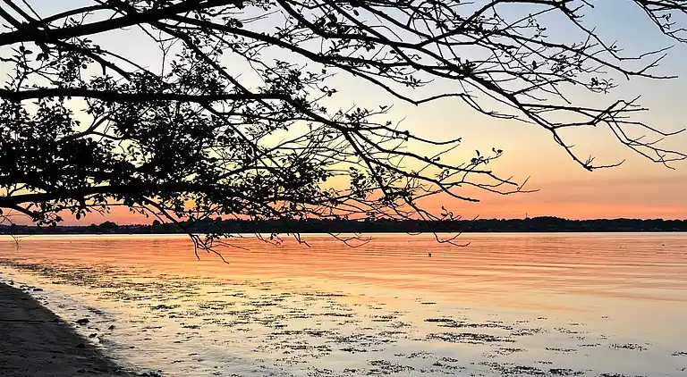 Feriebolig ved Hejlsminde Strand