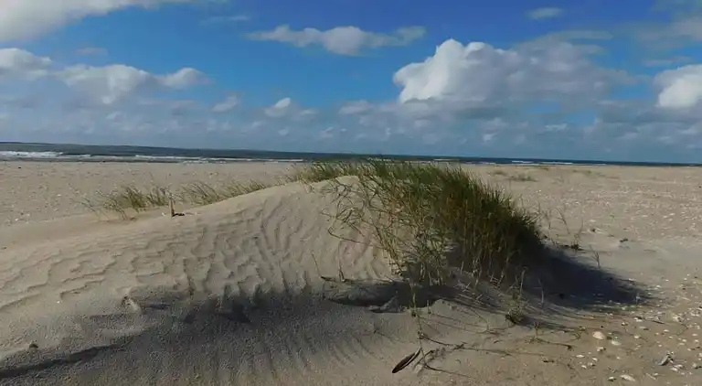 Feriebolig i Havneby