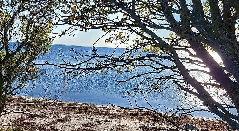 Semesterbostad vid Grønninghoved Strand