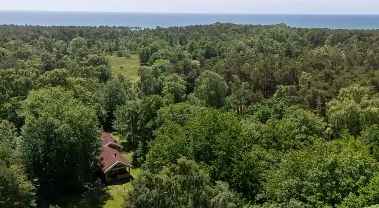 Hyggeligt og moderne sommerhus midt i skoven