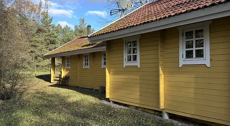 Hyggeligt og moderne sommerhus midt i skoven
