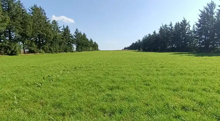 Sommerhus i Skærbæk
