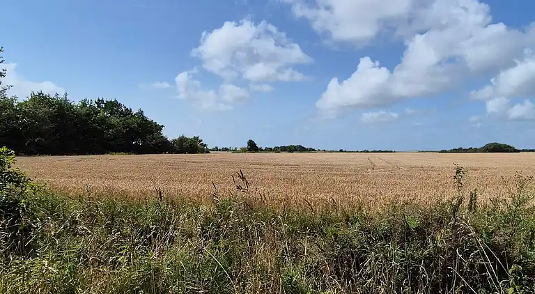 Sommerhus i Skærbæk