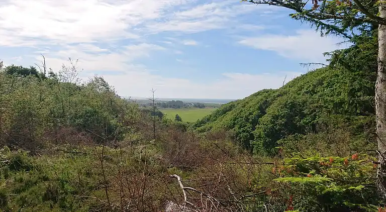 Holiday home in Fjerritslev