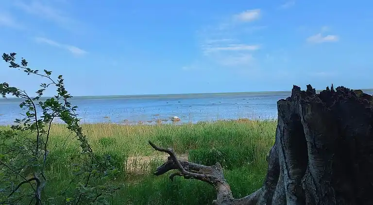 Holiday home on Præstø
