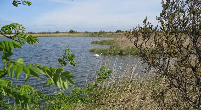 Semesterbostad i Stege