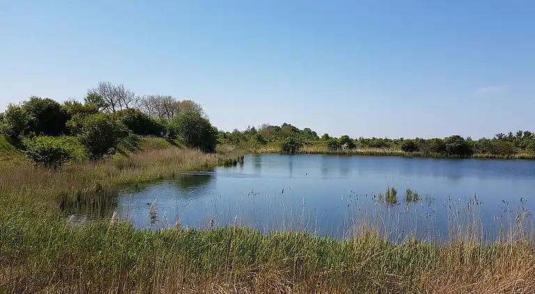 Semesterbostad i Stege