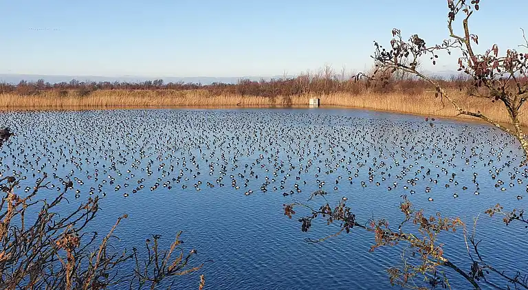 Semesterbostad i Stege