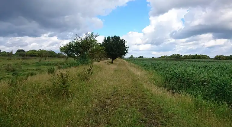 Semesterbostad i Stege