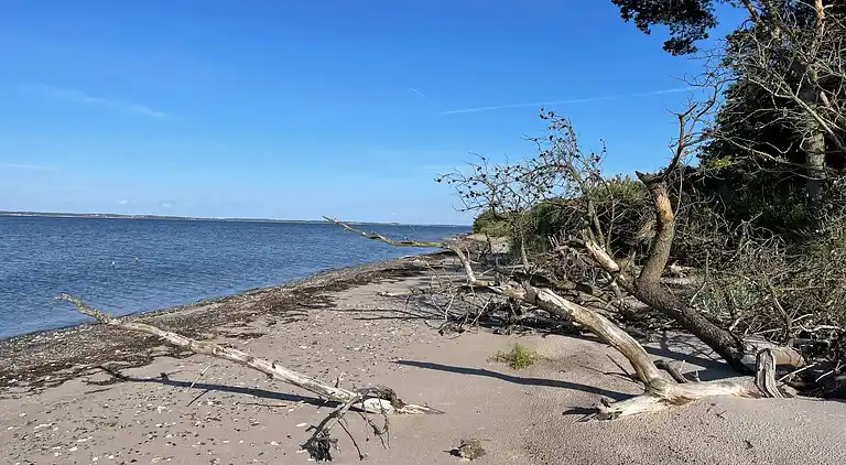 Holiday home in Roslev