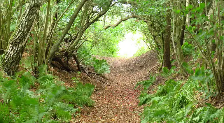 Holiday home in Roslev