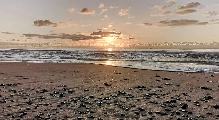 Maison de vacances en Harboøre