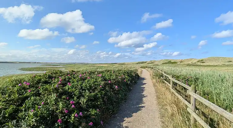 Maison de vacances en Harboøre
