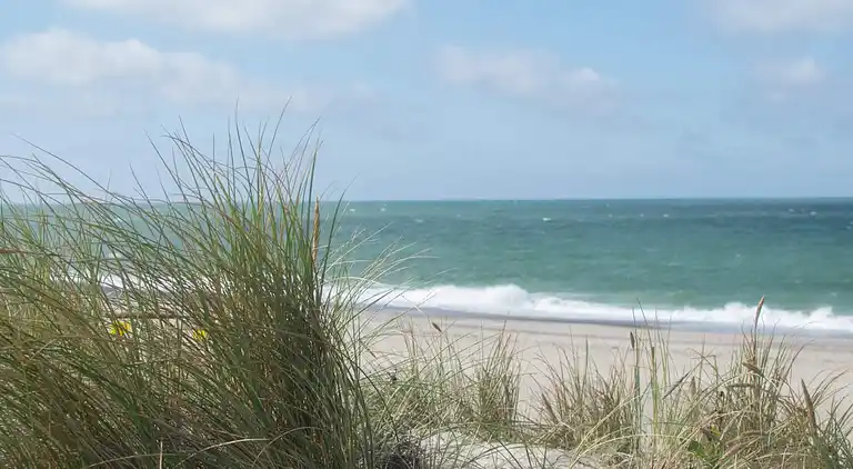 Sommerhus ved Vrist Strand