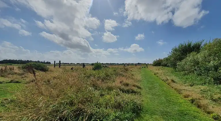 Sommerhus ved Vrist Strand