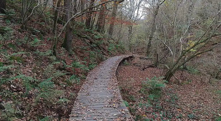 Holiday home in Brovst