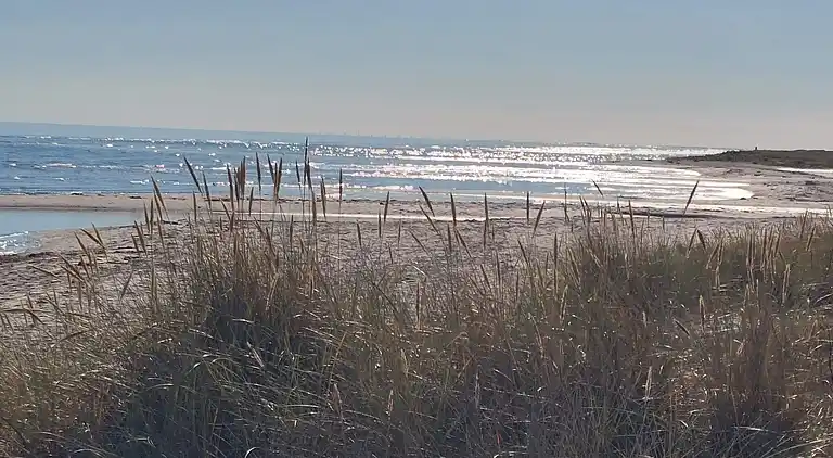 Holiday home in Hals