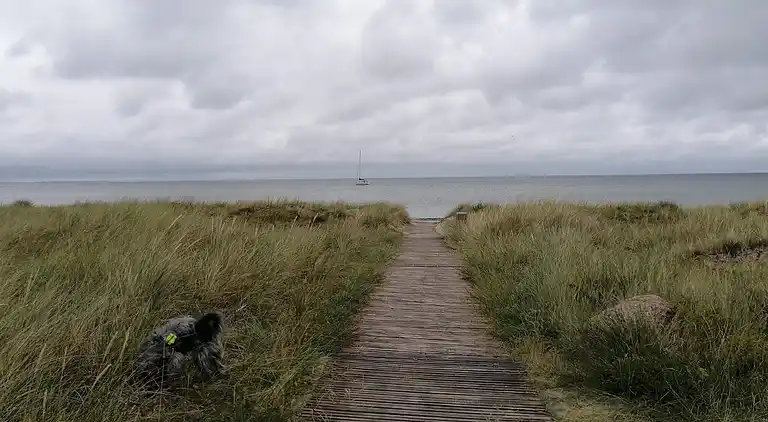 Holiday home in Stege