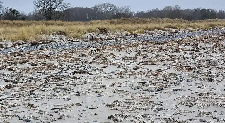 Holiday home in Stege