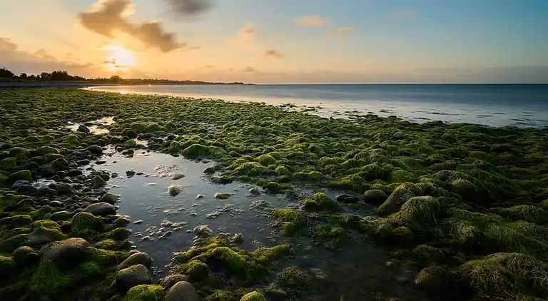 Holiday home in Stege