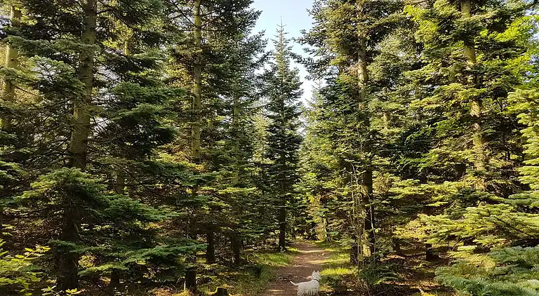 Holiday home in Branderup J