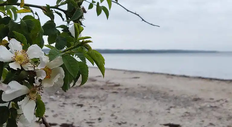 Holiday home in Diernæs Strandby