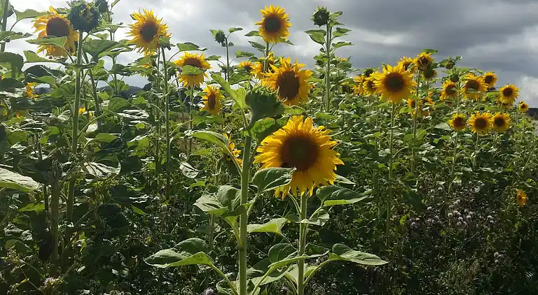 Holiday home in Diernæs Strandby