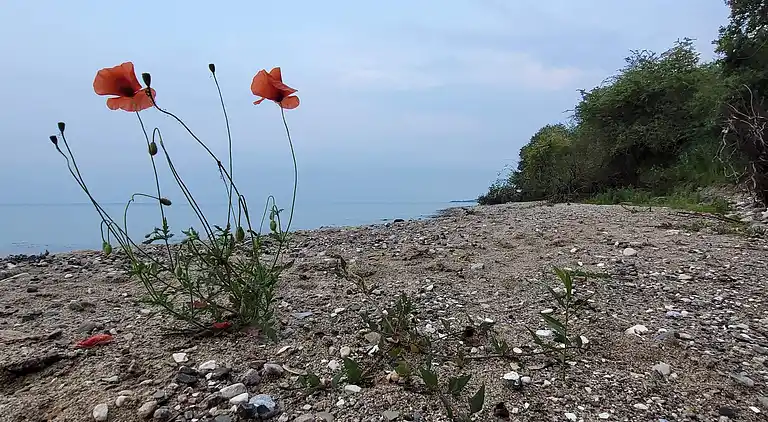 Holiday home in Diernæs Strandby