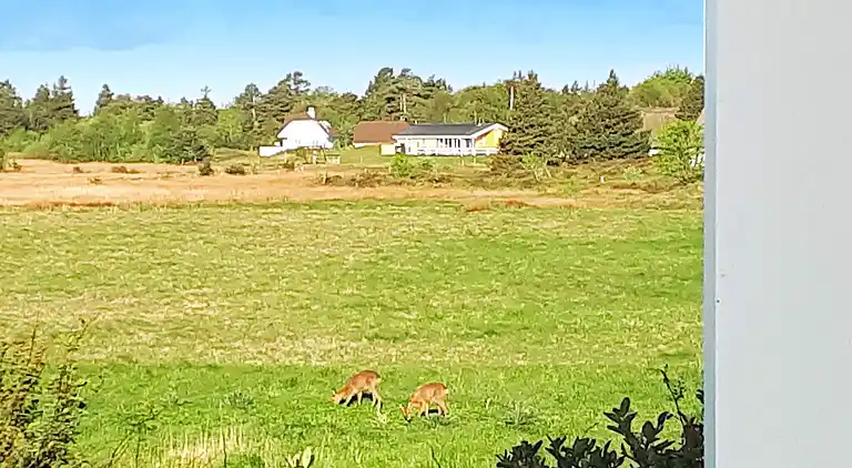 Holiday home in Kongsmark
