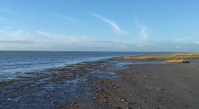 Holiday home on Fanø