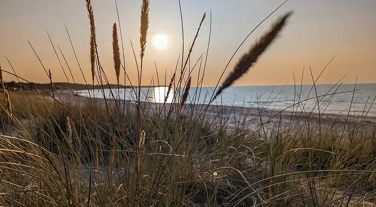 Semesterbostad i Dronningmølle